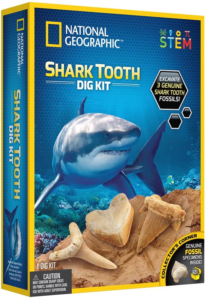 Ng Shark Tooth Dig Kit-1